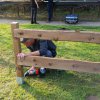 zaunaufbau_2019-04-10_173526