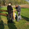 zaunaufbau_2019-04-10_175057