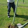 fangzaun_2019-05-25_105512