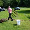 fangzaun_2019-05-25_110802