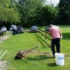 fangzaun_2019-05-25_110815